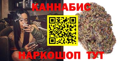 дмт Будённовск
