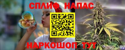 дмт Будённовск