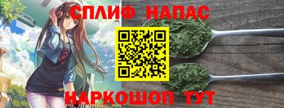 дмт Будённовск