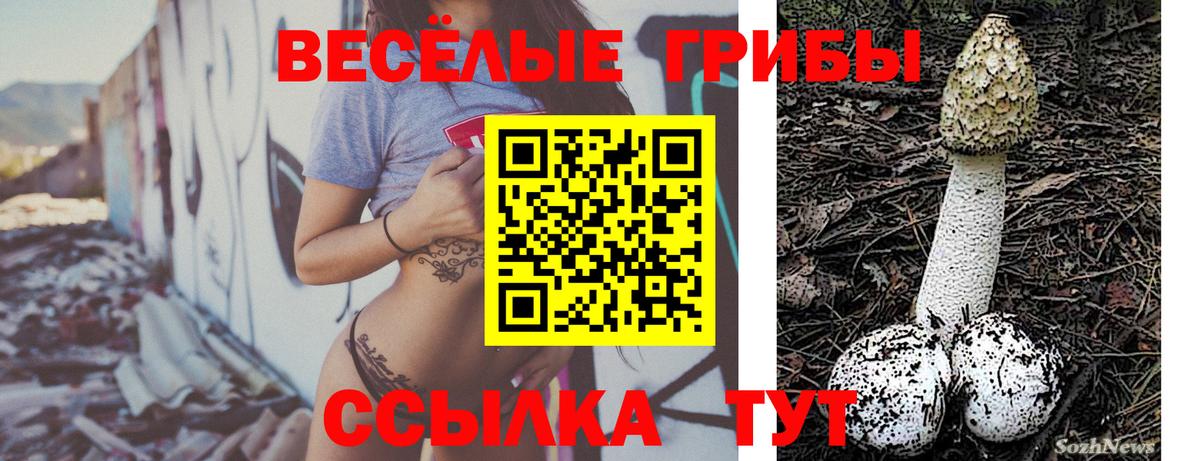 Берёзовский  Галлюциногенные грибы Psilocybe  Вход с VPN 