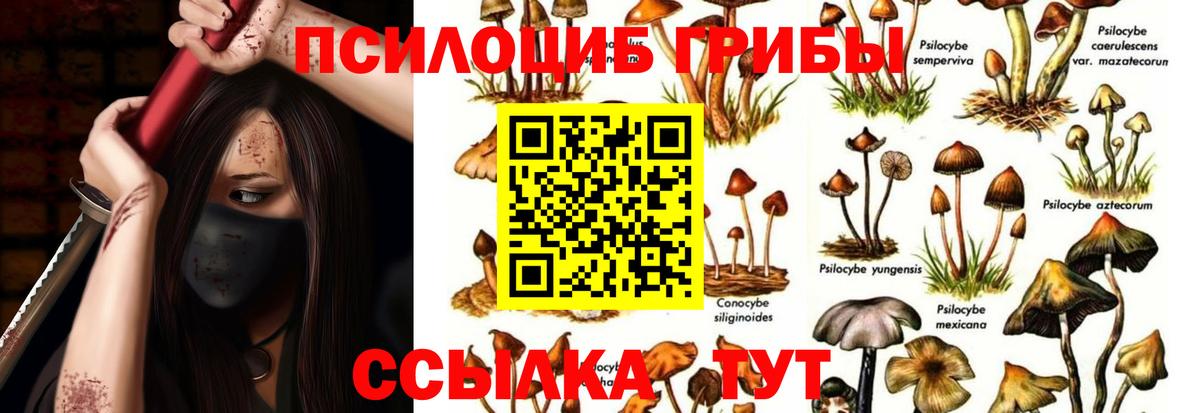Галлюциногенные грибы MAGIC MUSHROOMS Берёзовский